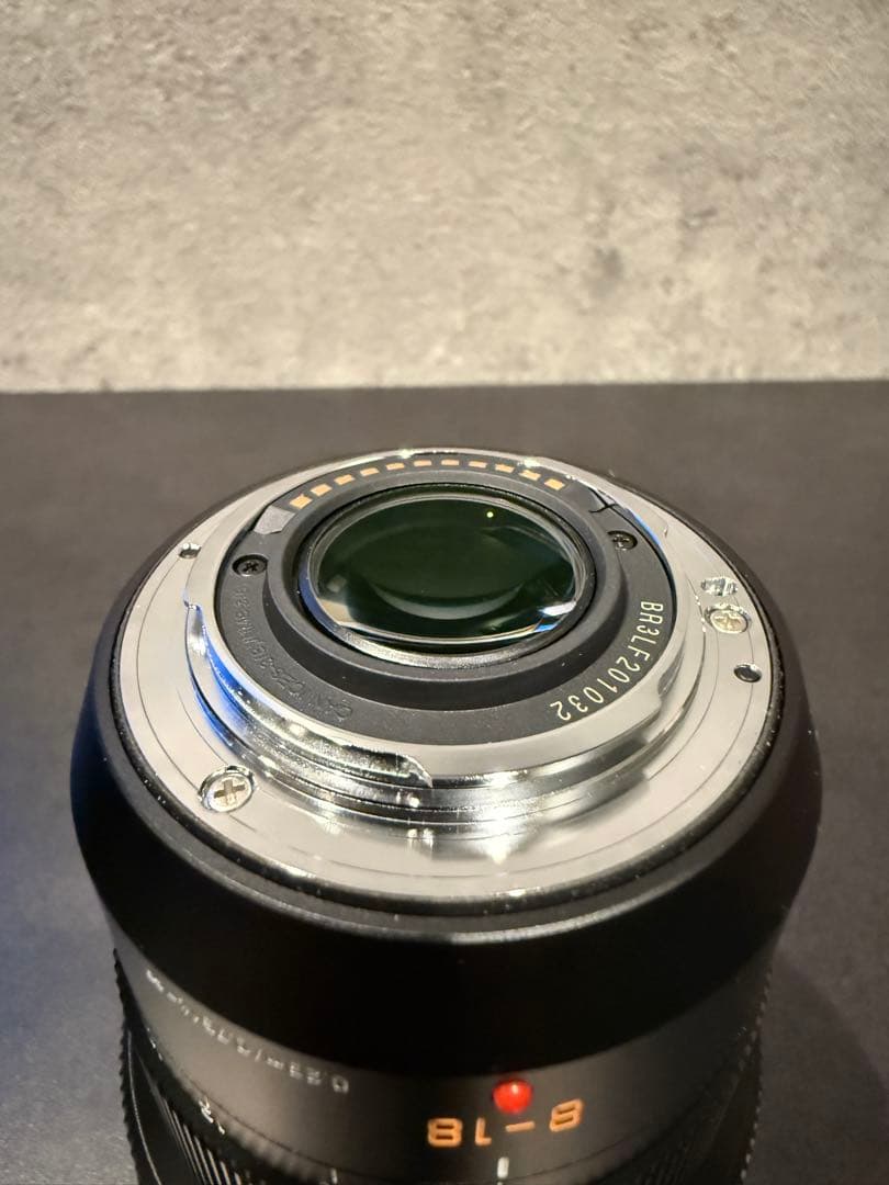 DG SUMMILUX 15mm F1.7とH-E08018 2個セット