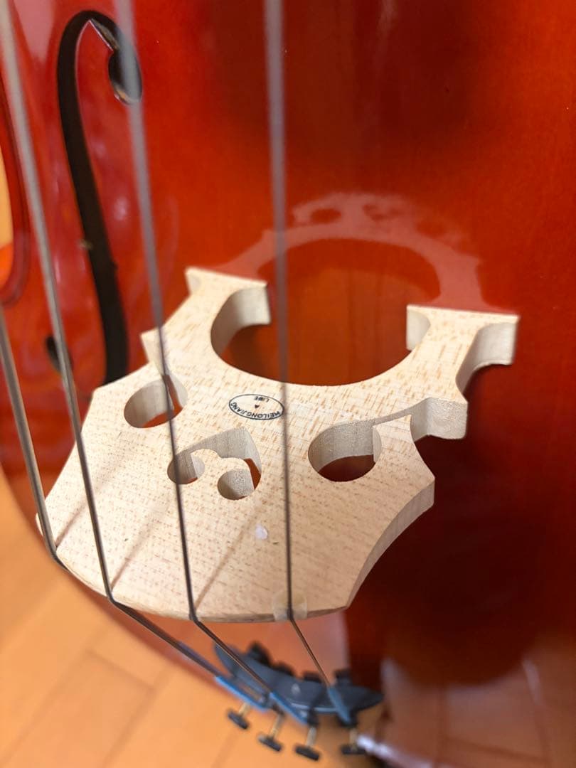 初心者用 4/4チェロ　アルテッツァNO.45