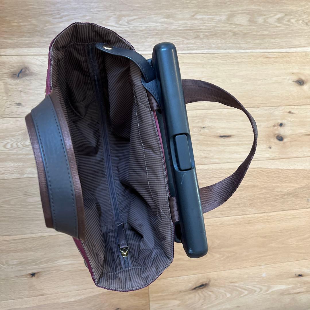 【ほぼ新品】SWANY 支えるキャリーバッグ