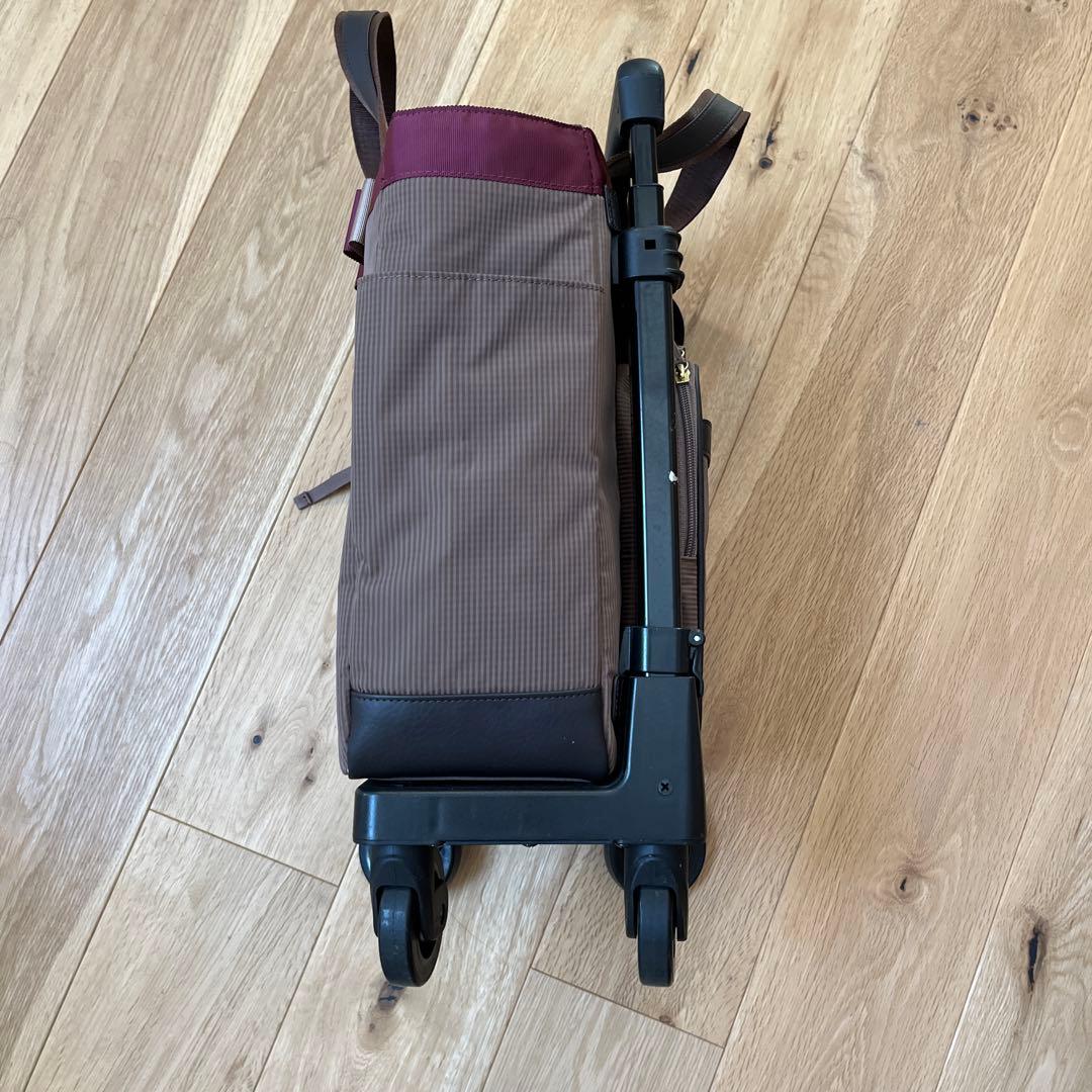 【ほぼ新品】SWANY 支えるキャリーバッグ