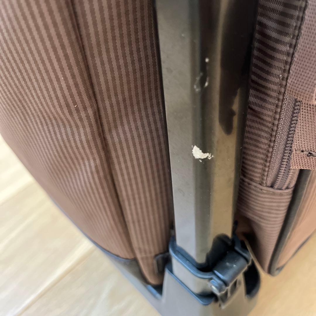 【ほぼ新品】SWANY 支えるキャリーバッグ