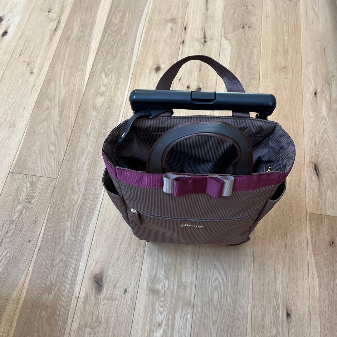 【ほぼ新品】SWANY 支えるキャリーバッグ