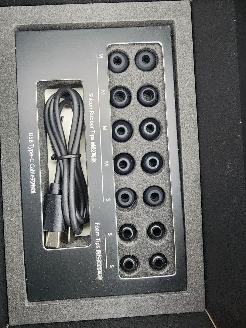 【未使用】HIFIMAN Svanar Wireless ワイヤレスイヤフォン