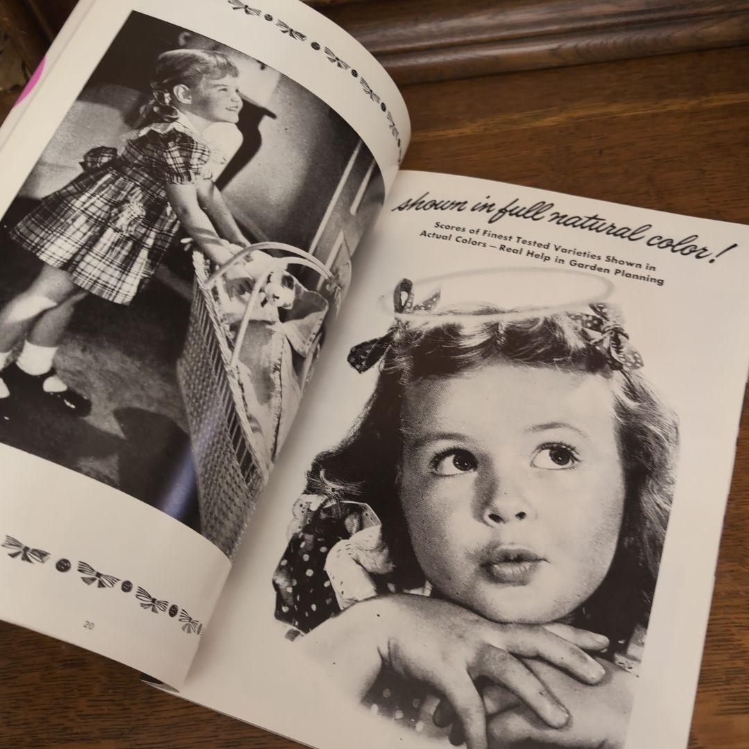 アメリカン・アドバタイジング　50s!SCRAP　ジャンクジャーナル