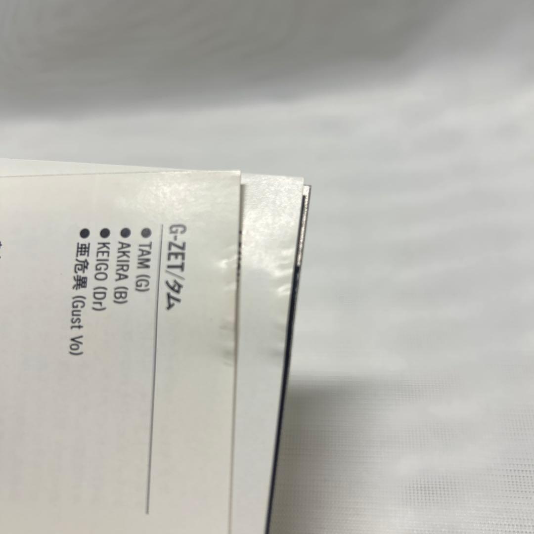 【希少】グレイト・パンク・ヒッツ　REBEL STREET Ⅱ 32JC-124