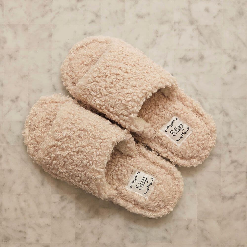 Siip ガイア 箱、特典付き