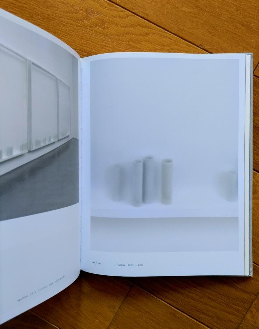 エドムンド・デ・ワール　Edmund de Waal 作品集（洋書）