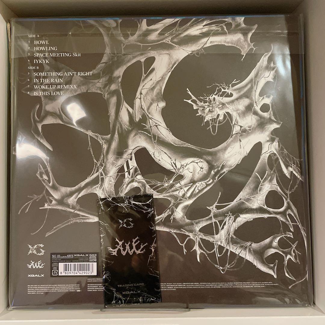 【未使用品カード付】 XG Mini LPレコード