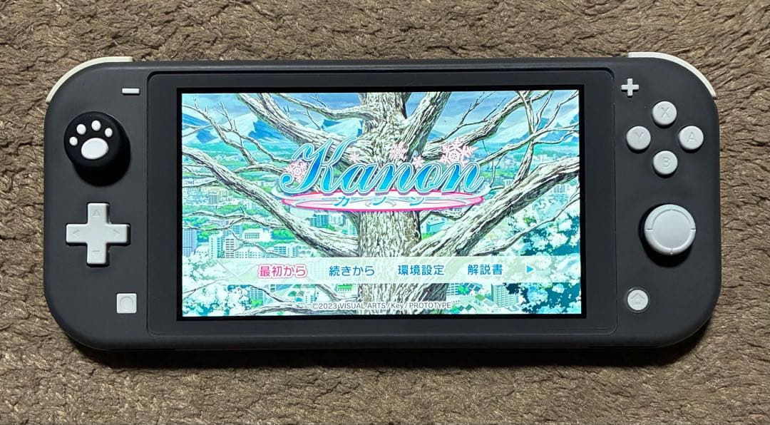 Nintendo Switch Lite グレー【動作確認済み】