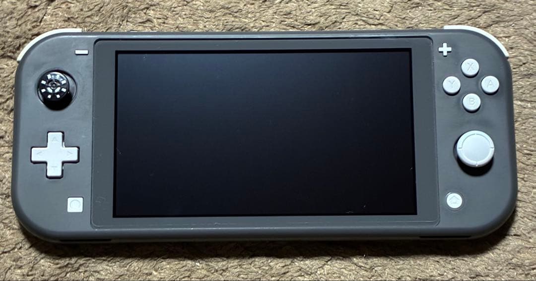 Nintendo Switch Lite グレー【動作確認済み】