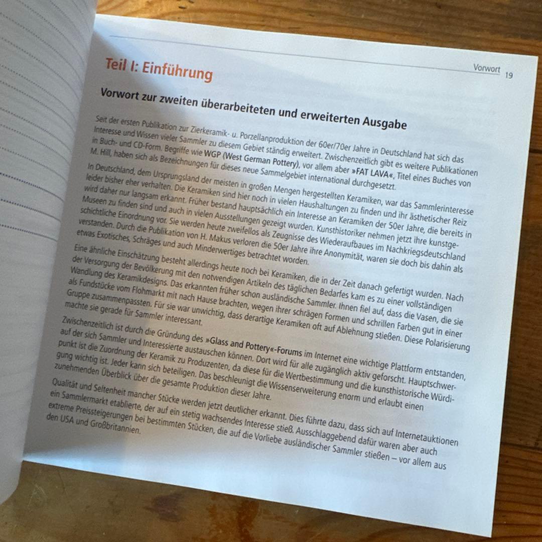 FAT LAVA 本　ドイツ語　レア