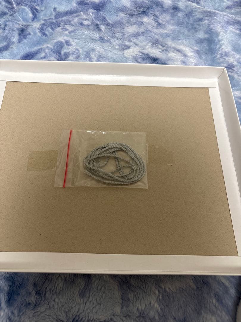 おがわじゅりイラストパネル（ソダシ） 直筆サイン入り JRAポイント交換