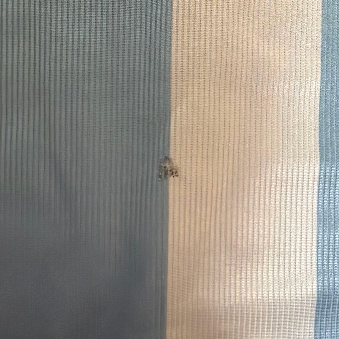 adidas 98s サッカーユニフォーム アルゼンチン代表