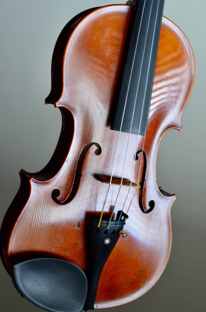 【銘器】R.Paesold No.804A バイオリン 4/4