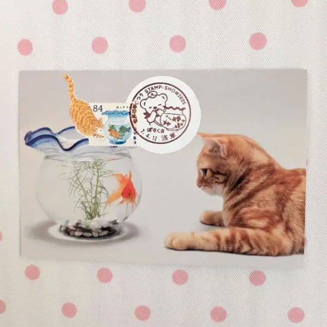 コレクション deen.like.live