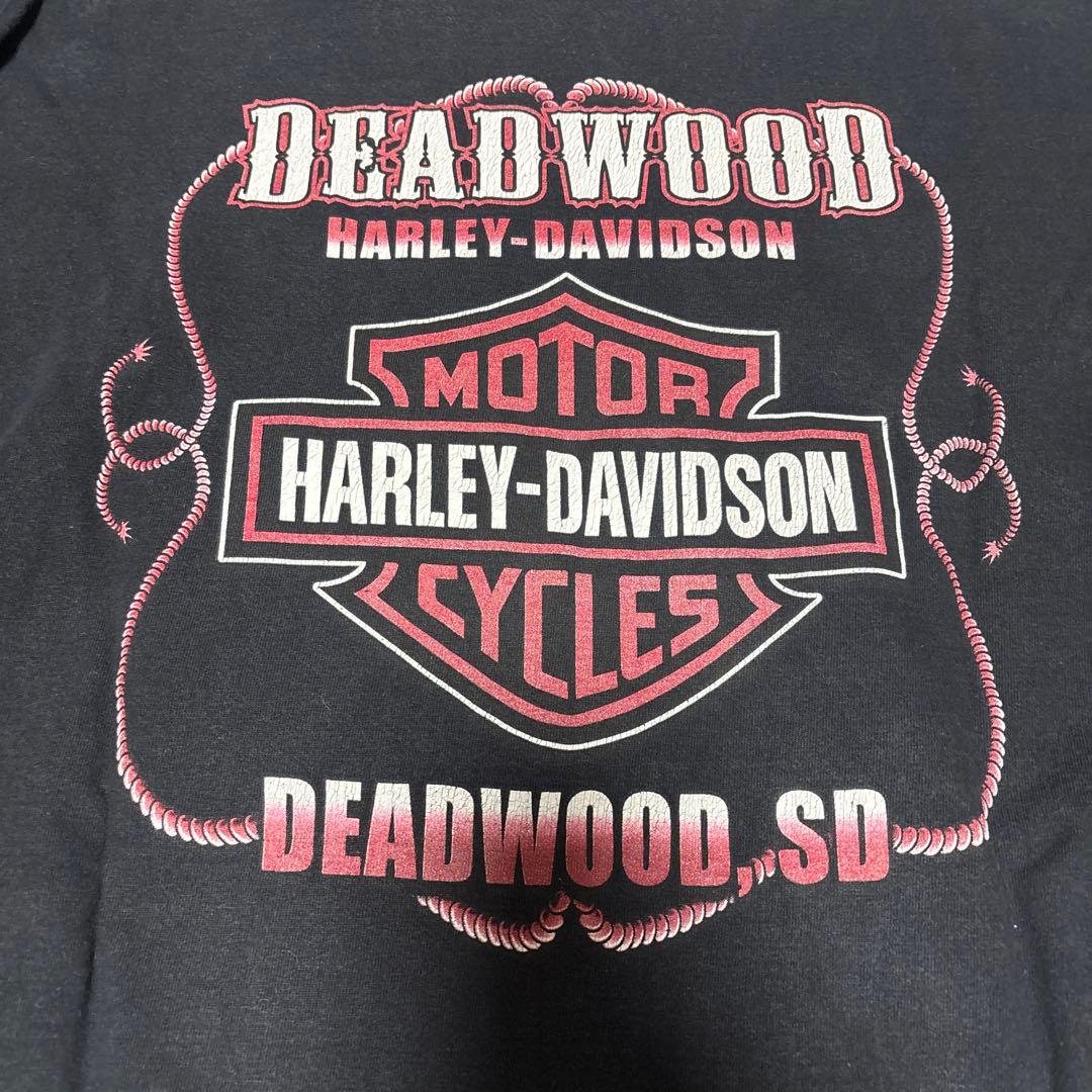 ハーレーダビッドソン　ロンT フレイム