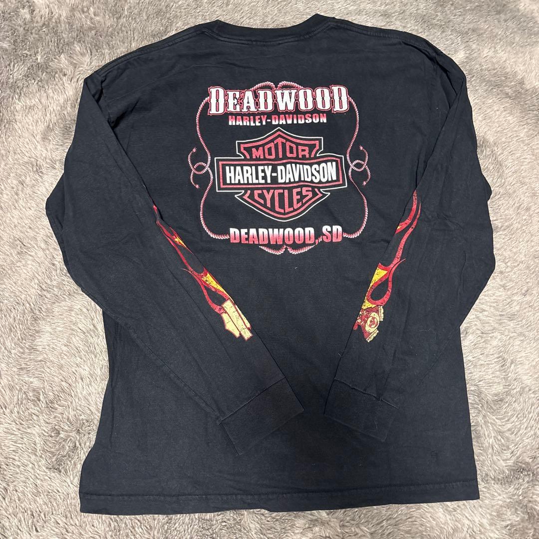 ハーレーダビッドソン　ロンT フレイム