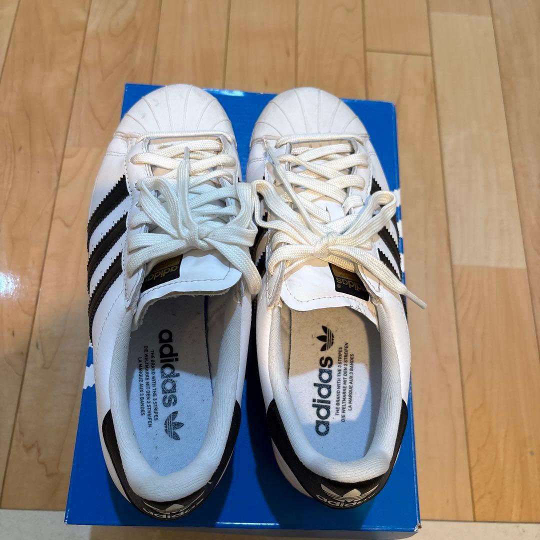 adidas ゴルフシューズ　24cm