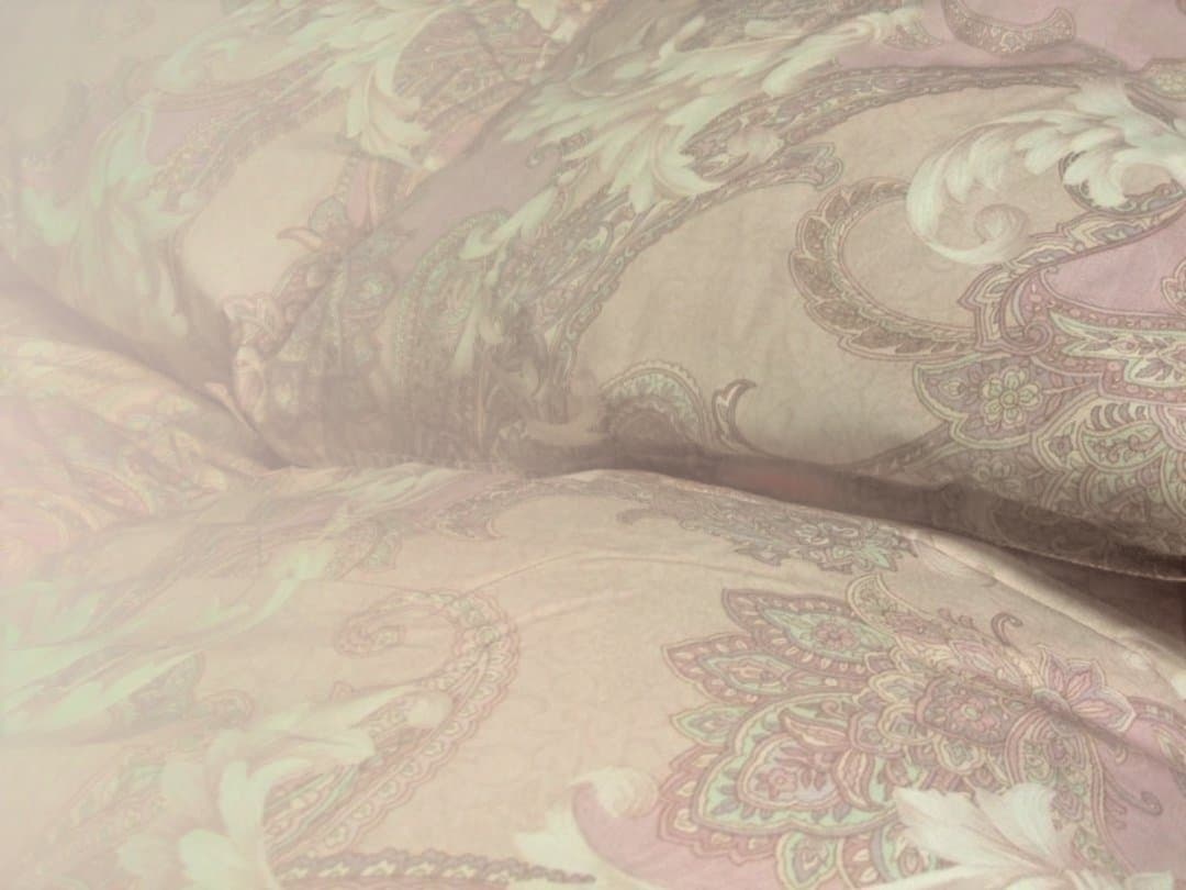 最後の１点新品＊日本羽毛協同組合保証付き＊三ツ星＊１，２キロに増量＊羽毛布団ＳＰ