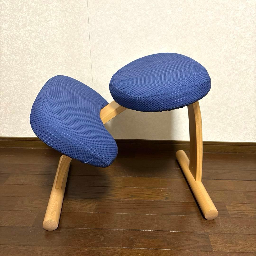 【美品】バランスイージー ブラウン ブルーカバー 通常フレーム オプション付き