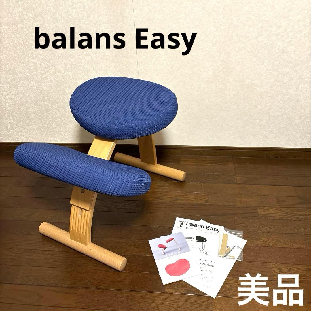 【美品】バランスイージー ブラウン ブルーカバー 通常フレーム オプション付き