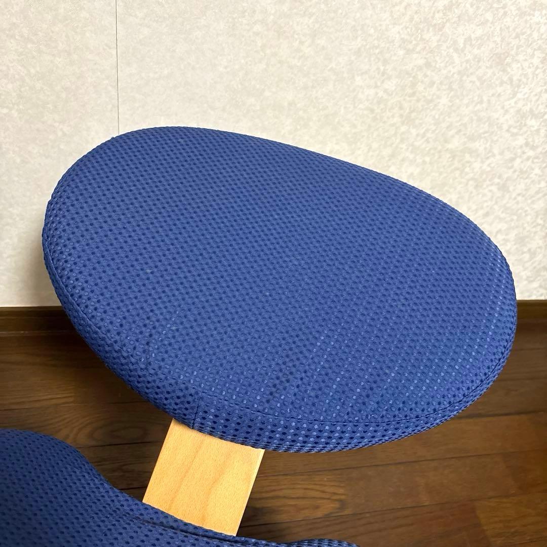 【美品】バランスイージー ブラウン ブルーカバー 通常フレーム オプション付き