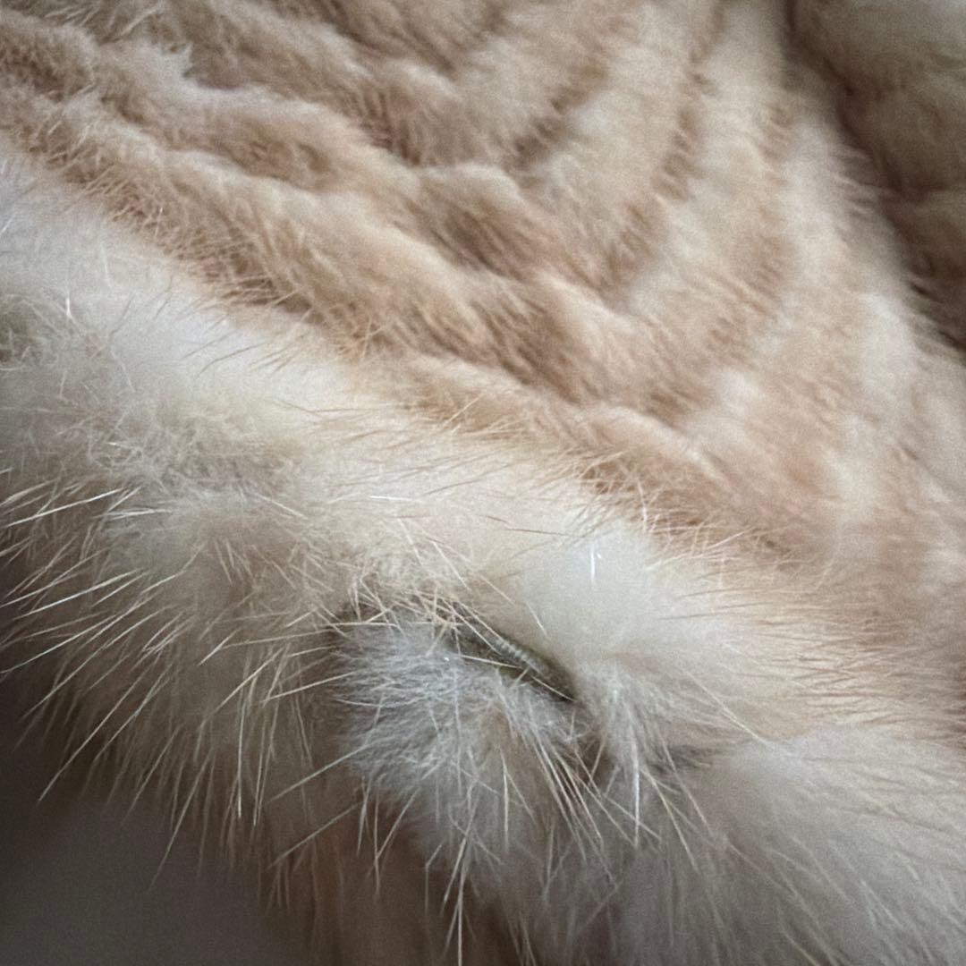 金サガ サガミンク ミンクコート ファーコート 毛皮 リアルファー ホワイト