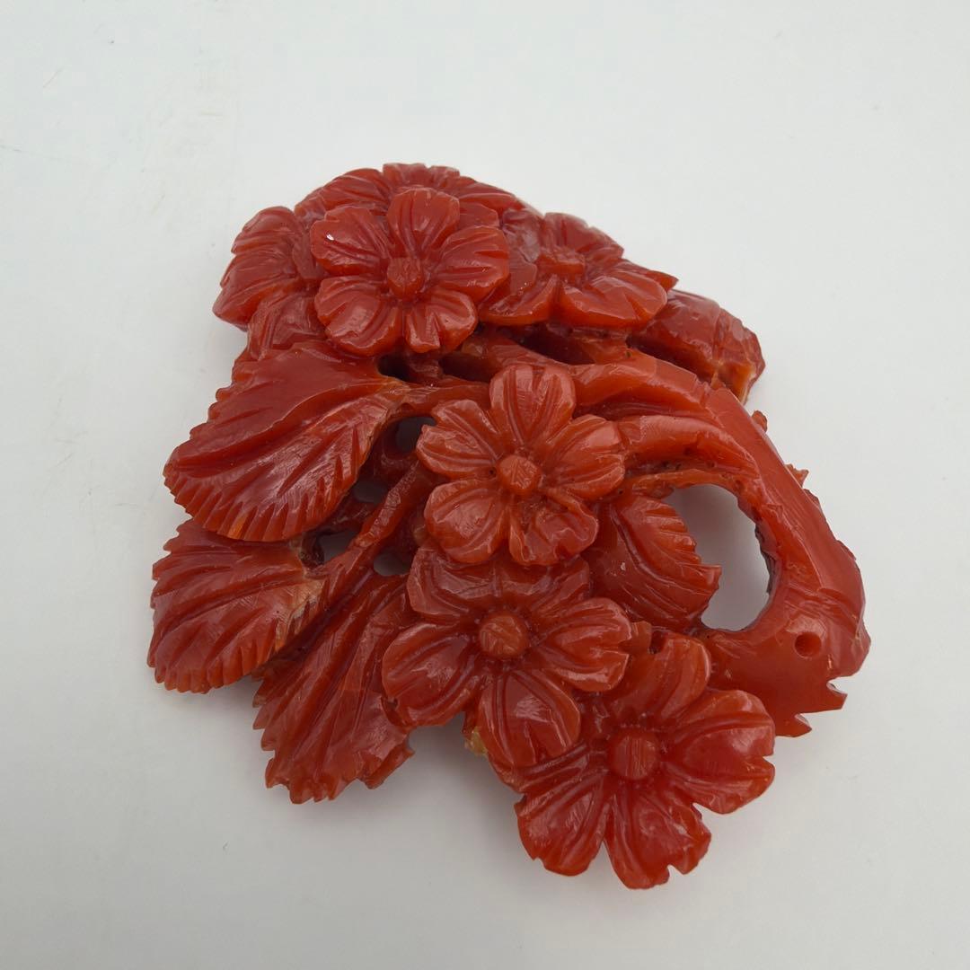 珊瑚 アンティーク 赤珊瑚　Y