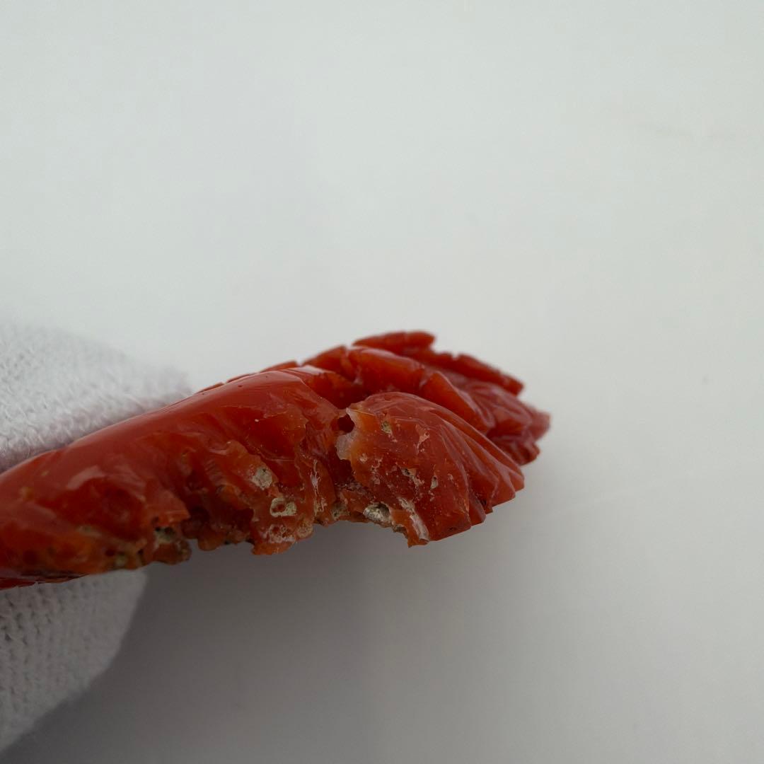 珊瑚 アンティーク 赤珊瑚　Y