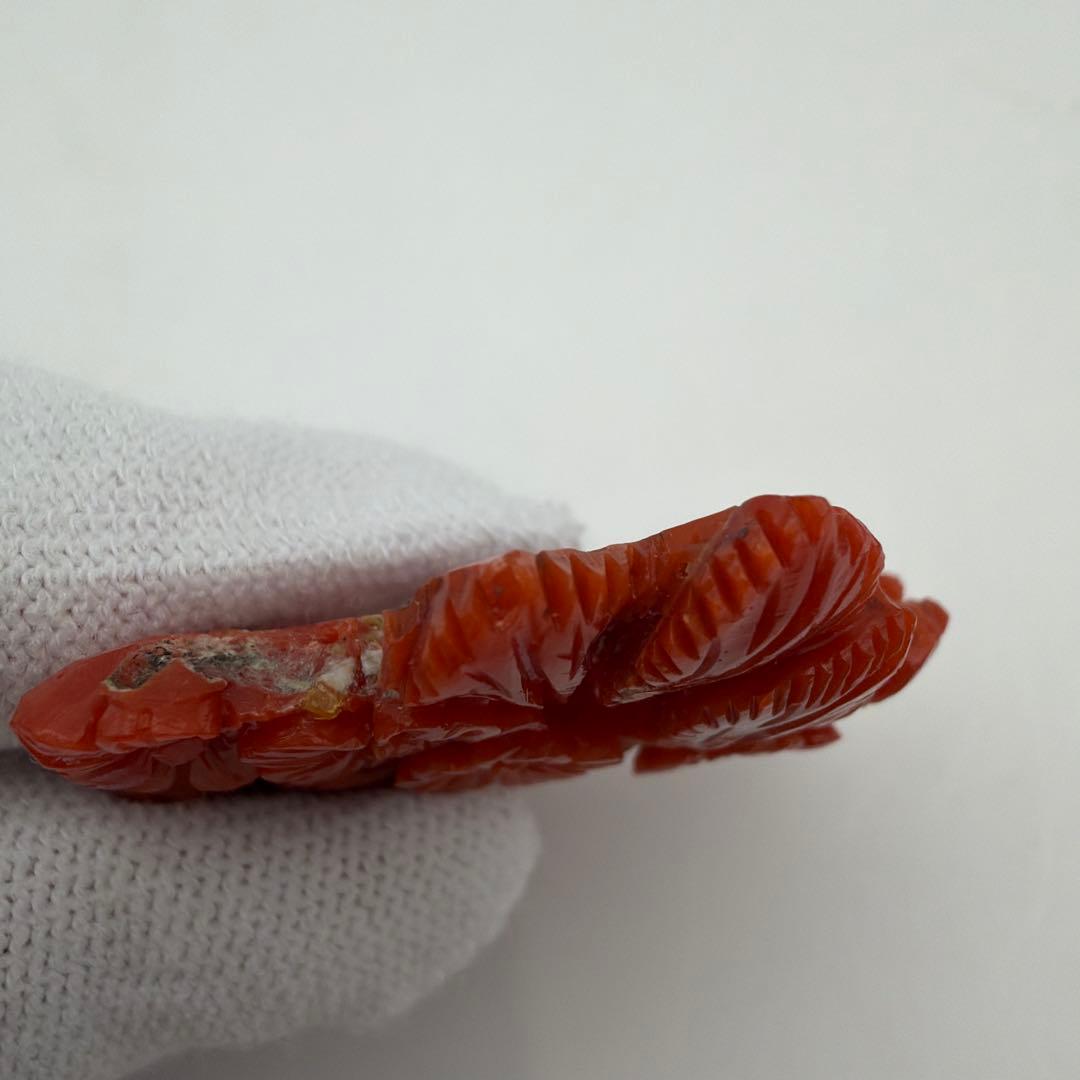 珊瑚 アンティーク 赤珊瑚　Y