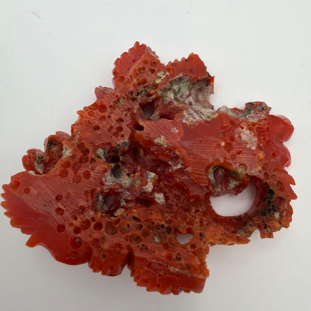 珊瑚 アンティーク 赤珊瑚　Y