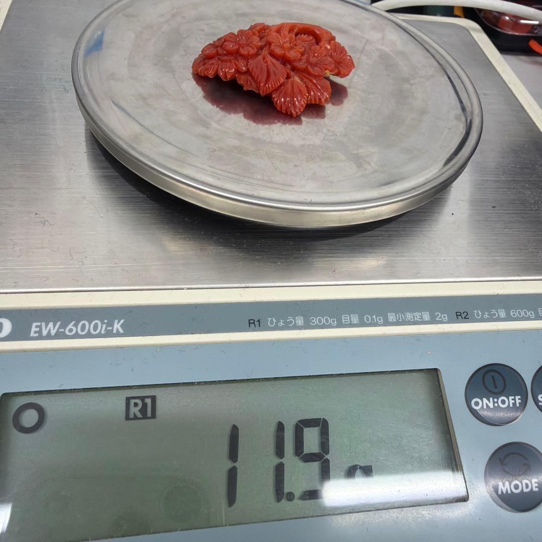 珊瑚 アンティーク 赤珊瑚　Y