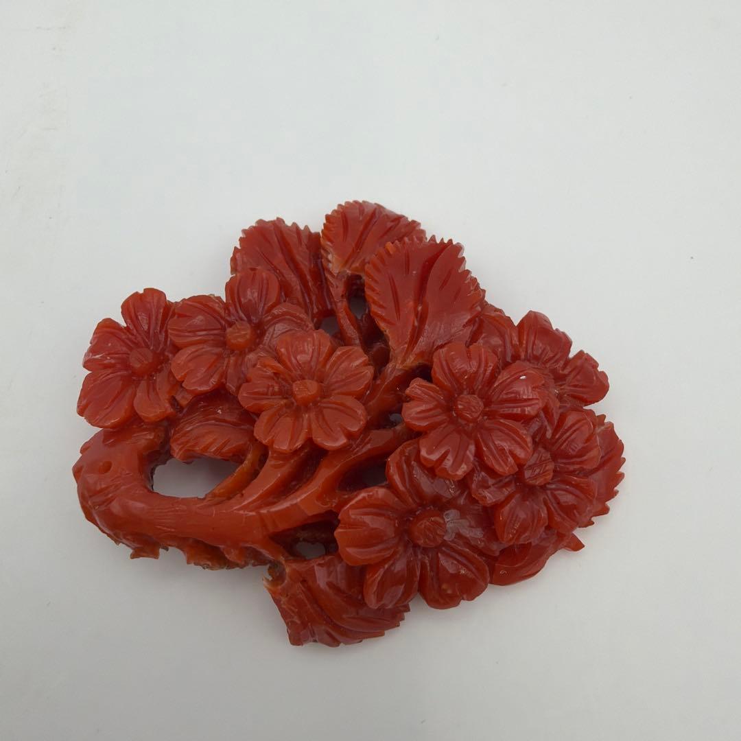 珊瑚 アンティーク 赤珊瑚　Y