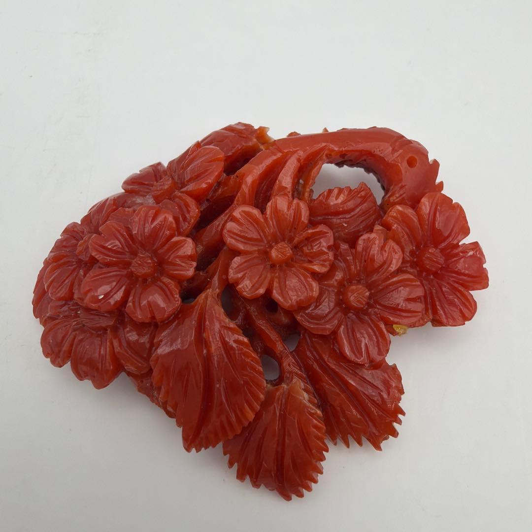 珊瑚 アンティーク 赤珊瑚　Y