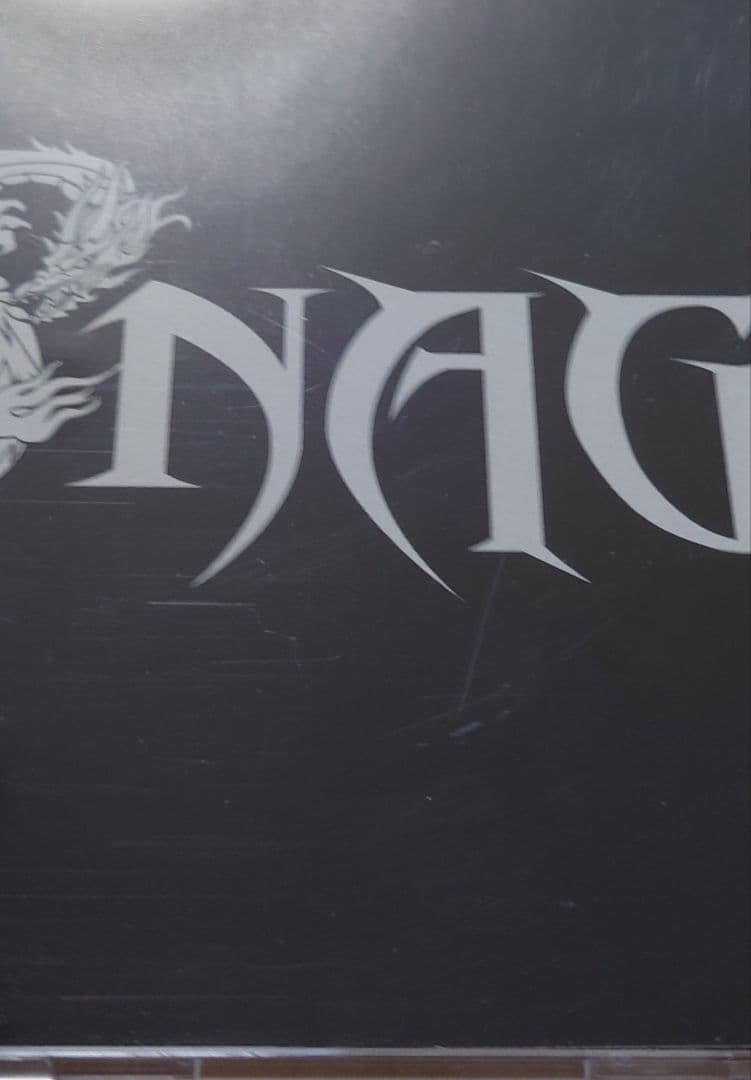 SNAG LIVE アルバム 全16曲収録 成田昭次