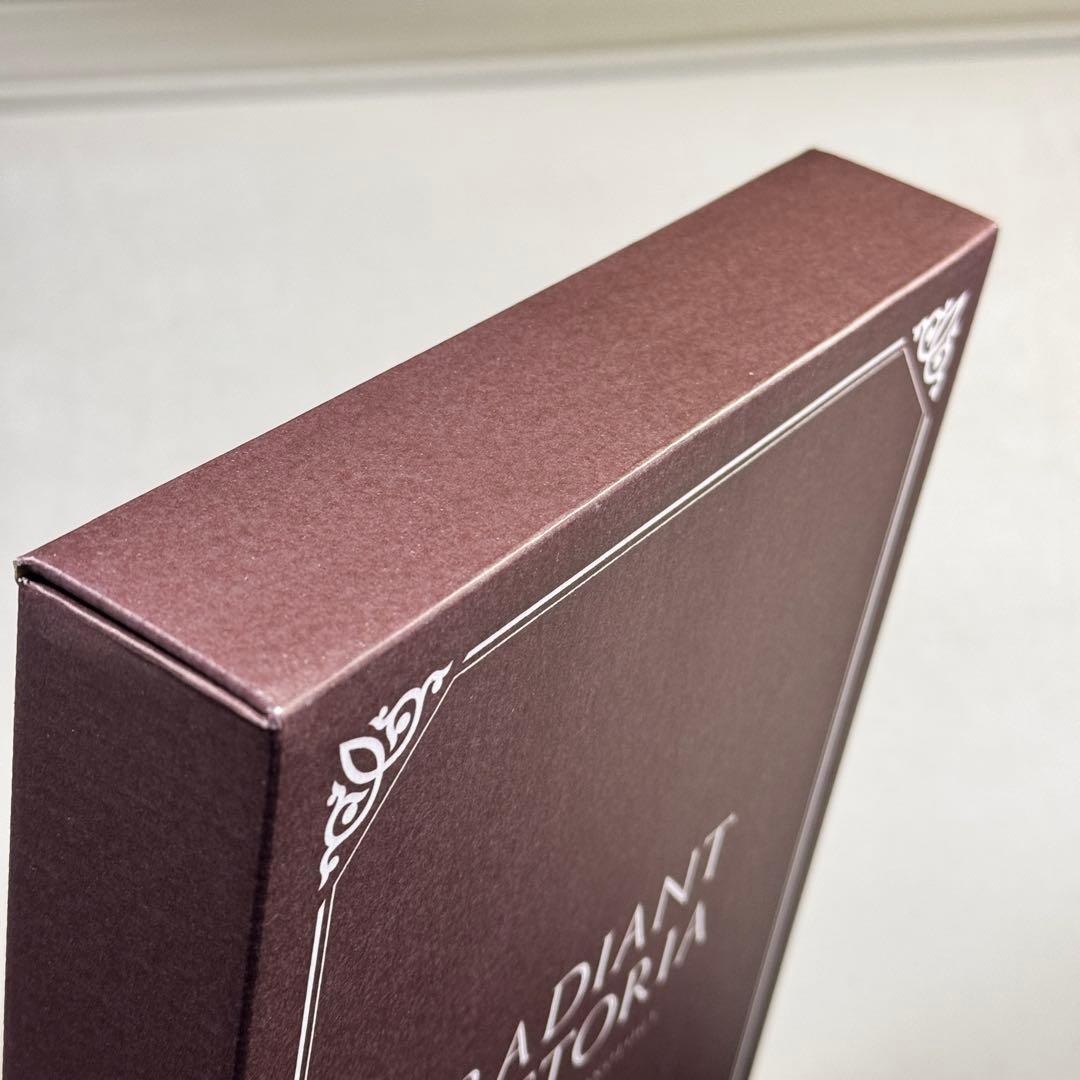 3DS ラジアントヒストリア パーフェクトクロノロジー PERFECT EDI…