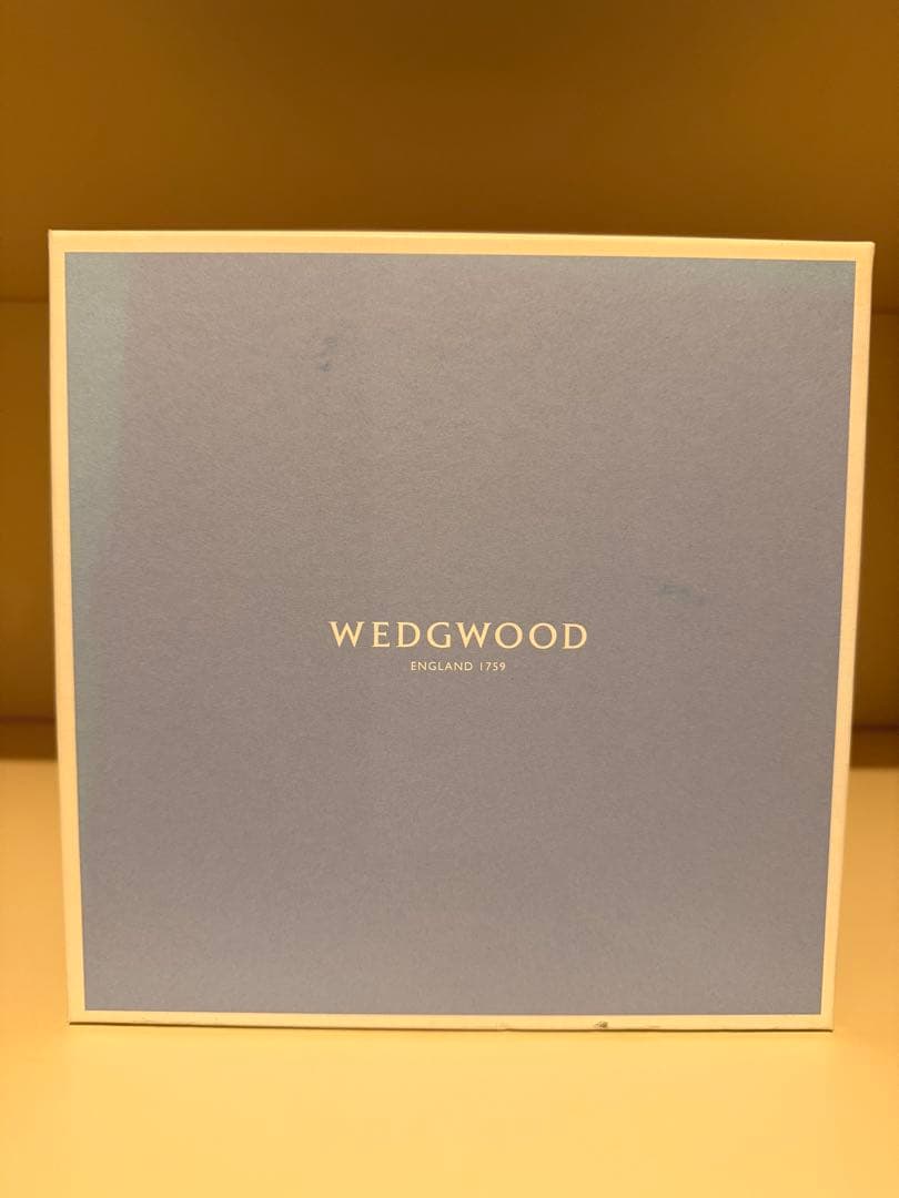 ウェッジウッド　ワンダーラスト　20cm プレート4枚セット