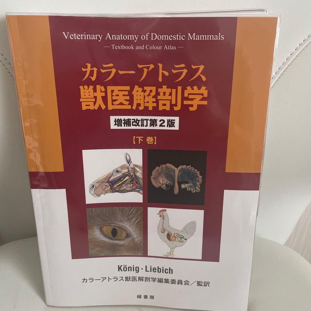 カラーアトラス獣医解剖学 上下巻