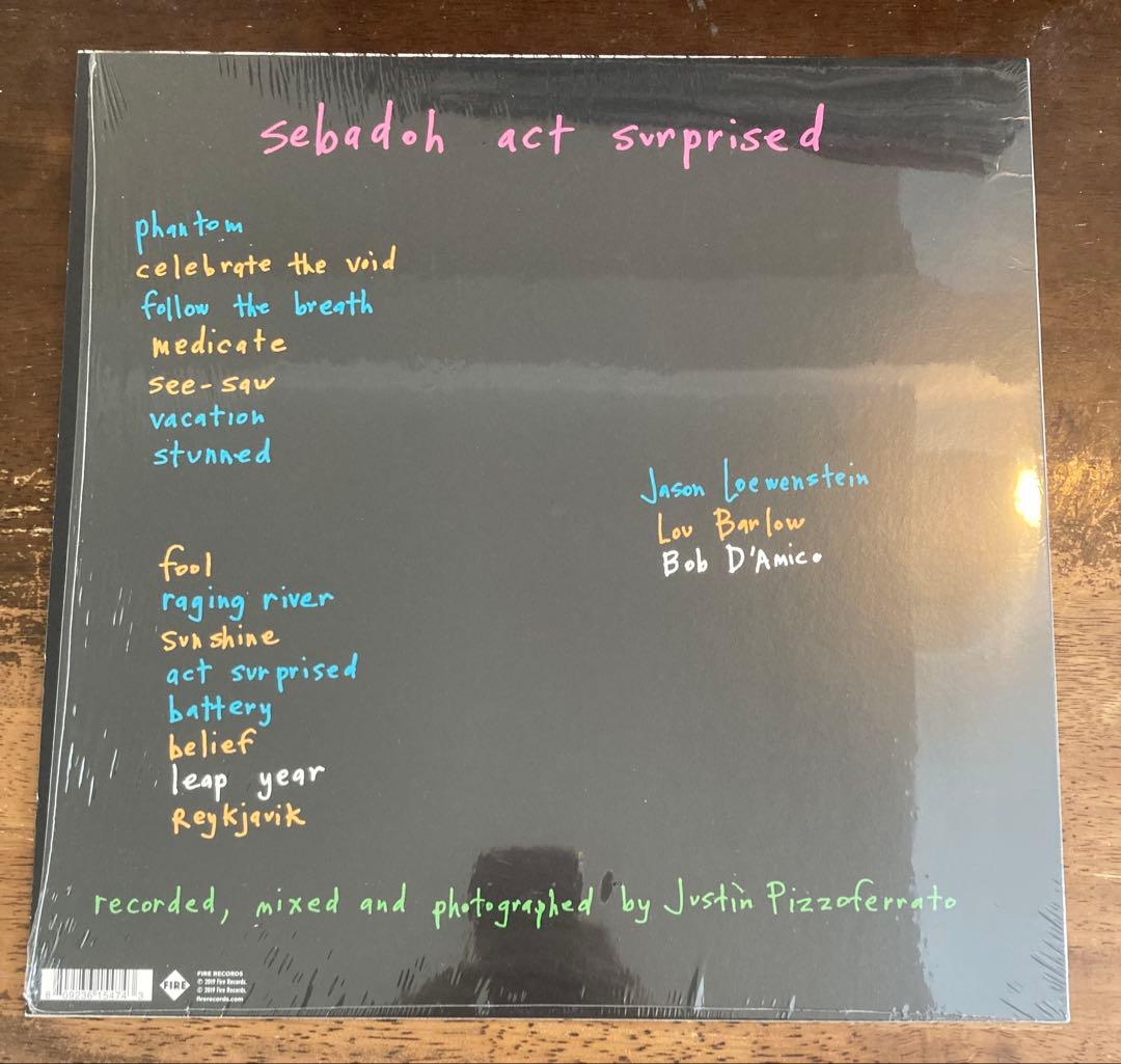 ■高音質UKオリジナル盤/USオルタナ名盤■SEBADOH / セバドー■Act