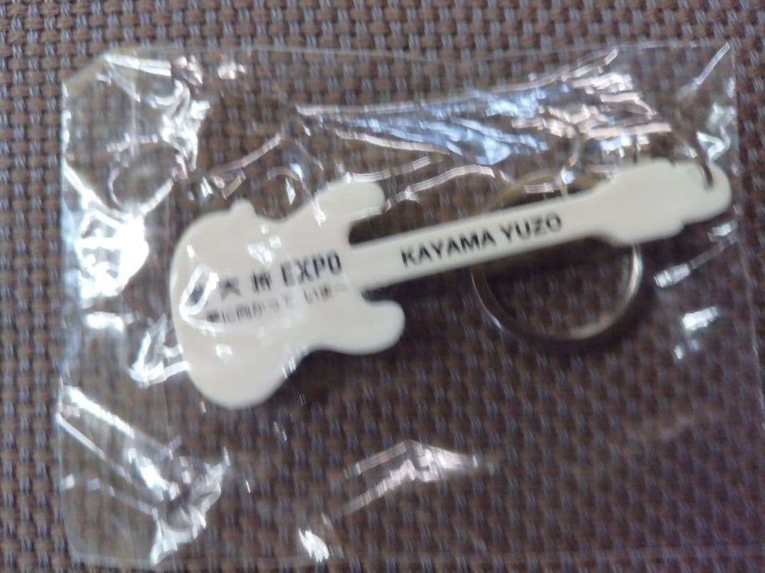 加山雄三/若大将EXPO～夢に向かって いま～加山雄三 LIVE IN 日本武…