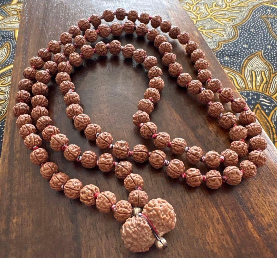 ⭐️SALE10%OFF⭐️ ルドラクシャマーラー　トップガウリシャンカール11ムキ