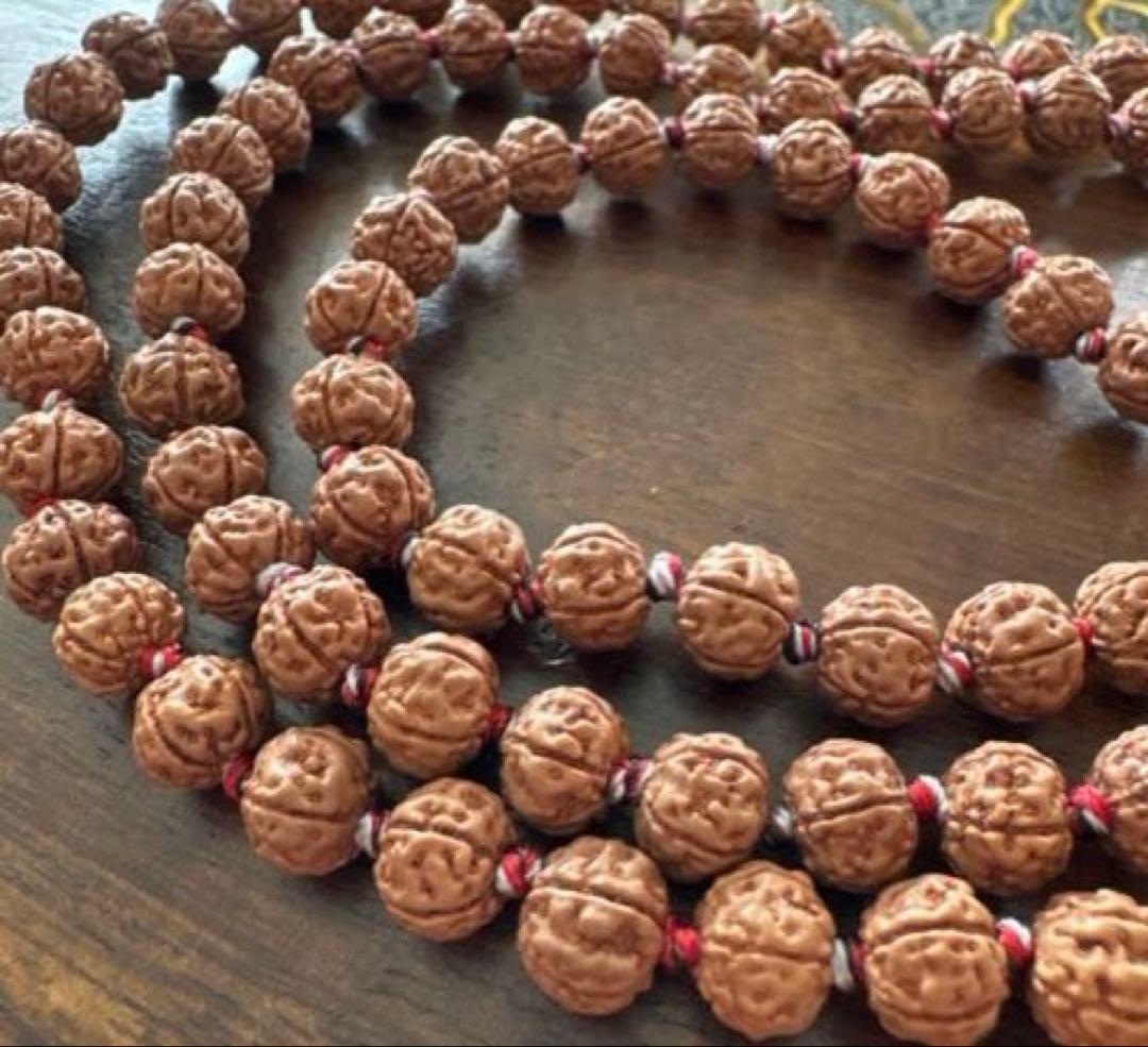 ⭐️SALE10%OFF⭐️ ルドラクシャマーラー　トップガウリシャンカール11ムキ