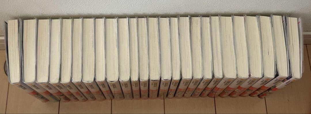 精霊幻想記 1〜25巻　ほぼ全巻