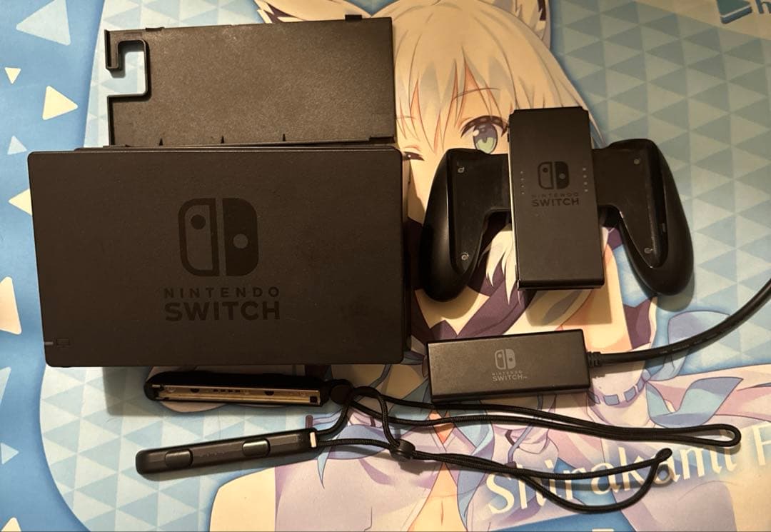 さ*ら様 NintendoSwitch スプラ2カラーセット