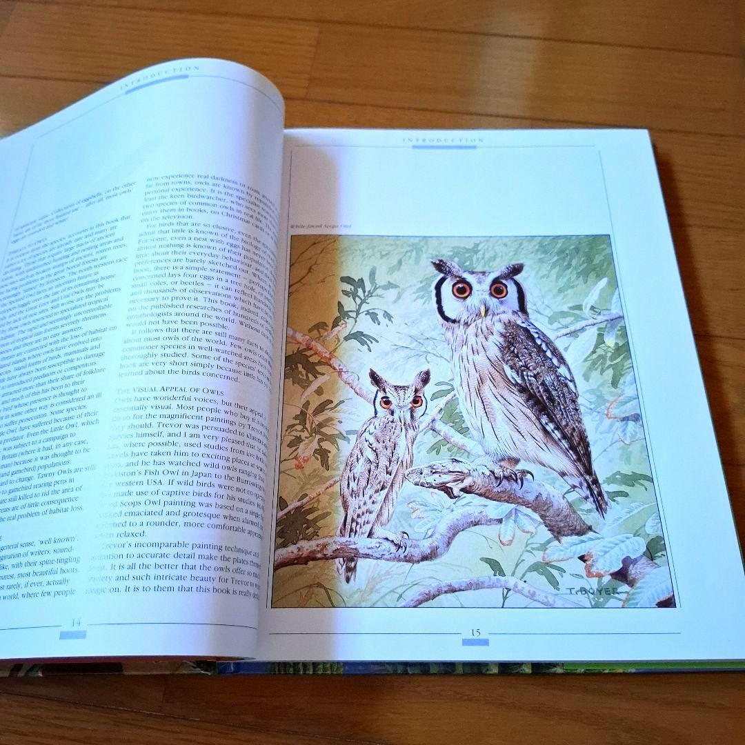 Owls of the World - Rob Hume世界のフクロウ図鑑　洋書