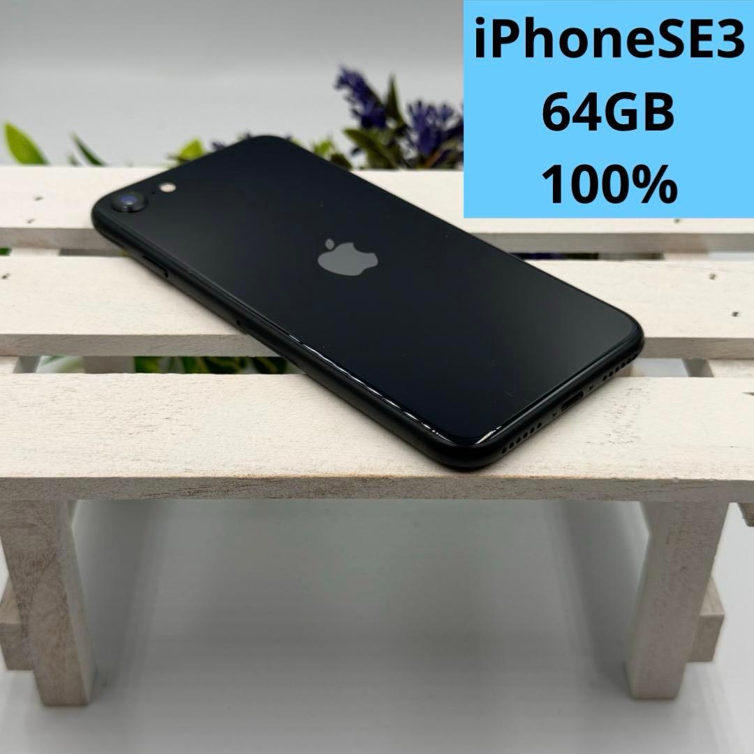 【美品】iPhone SE第3世代 64GB ミッドナイト 389