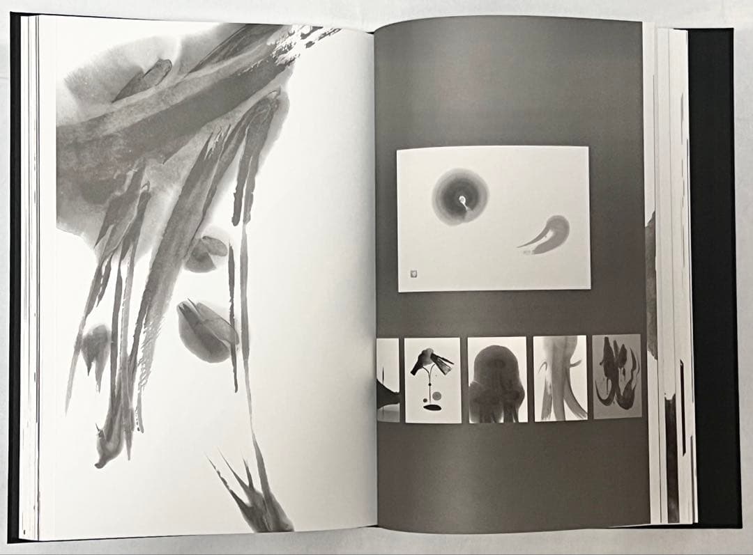 【2000冊限定】長野オリ書道家 増永広春氏作品集 走墨 1999年 超美品