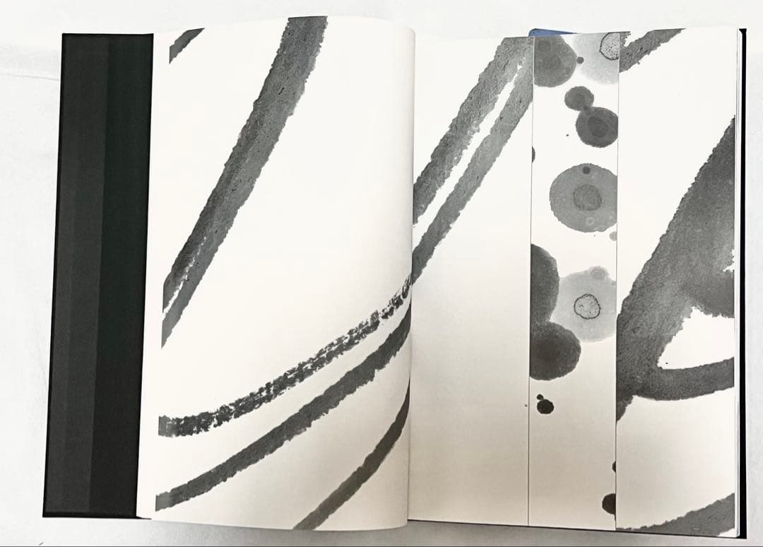 【2000冊限定】長野オリ書道家 増永広春氏作品集 走墨 1999年 超美品