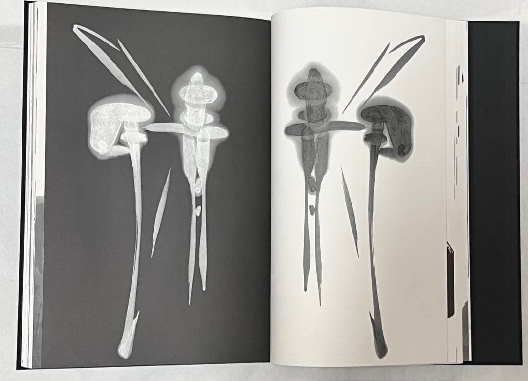 【2000冊限定】長野オリ書道家 増永広春氏作品集 走墨 1999年 超美品