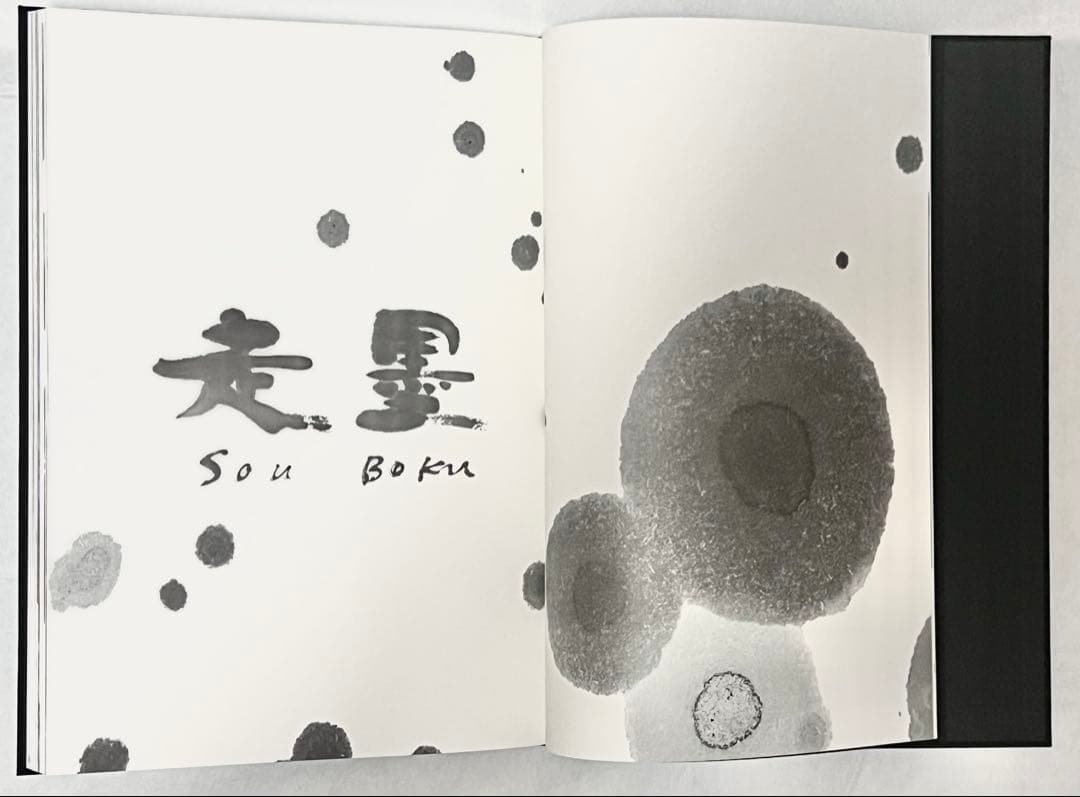 【2000冊限定】長野オリ書道家 増永広春氏作品集 走墨 1999年 超美品